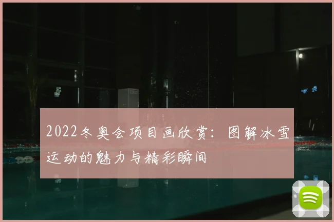 2022冬奥会项目画欣赏：图解冰雪运动的魅力与精彩瞬间